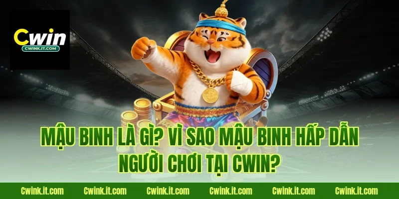 Mậu binh là gì? Vì sao mậu binh hấp dẫn người chơi tại Cwin?